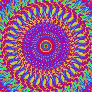 Meet your Posher, Irene